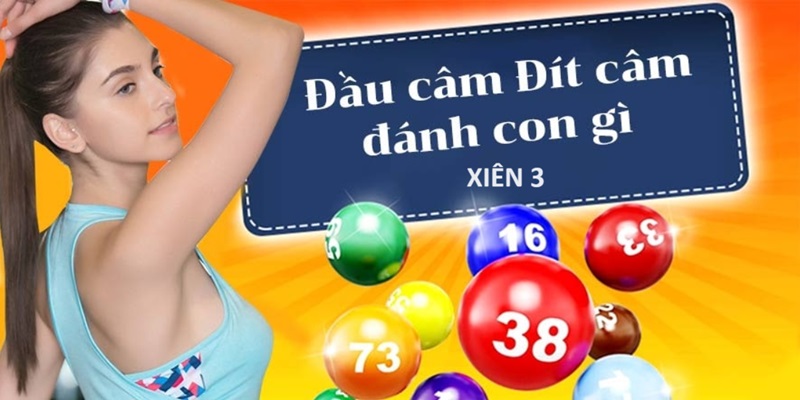 Phương pháp chơi đầu câm đít câm được thống kê sẵn